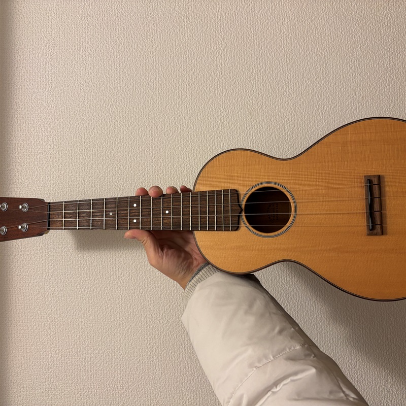 MARTIN CTM 2CON （Custom Shop)の画像